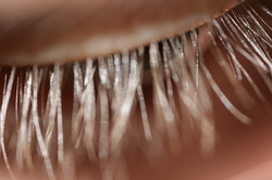 The External Structure - The Human Eye